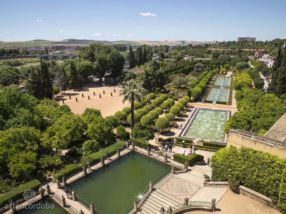 Centrico Apartamento Jardines De Vallellano Córdoba Eksteriør billede
