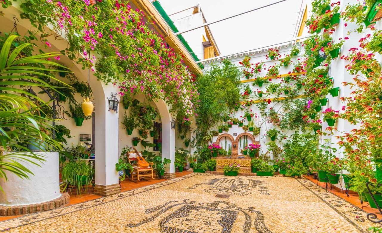 Centrico Apartamento Jardines De Vallellano Córdoba Eksteriør billede